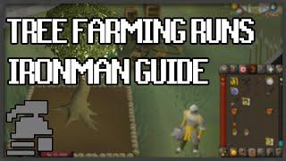 Tree Farming Runs [Ironman Guide] [Updated 2020]