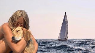 Sailing Sweden's Archipelagos with My Dog Neno | Solo Adventure Pt 1