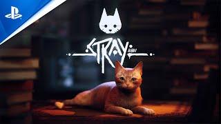 Stray - State of Play Juni 2022 Trailer | PS5, PS4, deutsch