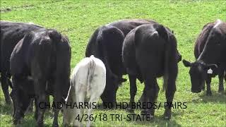 TRI-STATE COW SALE 4/26/18