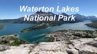 Waterton Lakes National Park ( June 2024)