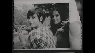 1965: Our Lives Through Commercials (Part 1)