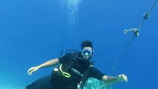 Ahmed Emad hamdy  underwater diving from sharm