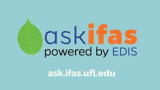 Ask IFAS for Answers!
