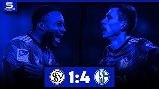 SV Elversberg - FC Schalke 04 1:4 | Tore & Highlights | Stadion Reaktion