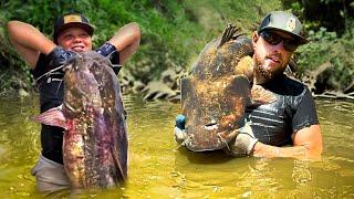 NOODLING FLATHEAD CATFISH W/ PHIERCE AND NATE!  NEW FISHING ADVENTURE!