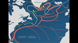 Climate Change and Ocean Circulation Systems