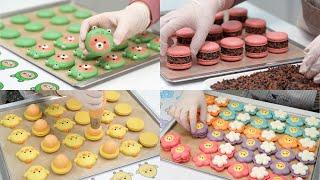 Collection of piping macarons for your deep sleepㅣSUGAR BEAN