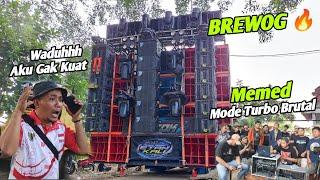 Ampuhnya Box Tobrut BREWOG sampai penyewa nya Gak Kuat Memed mode Turbo Brutal