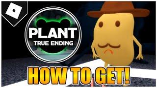 How to get the TRUE ENDING AND MR. P SKIN in PIGGY! [ROBLOX]