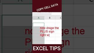 Lec 4, Copy cell values  or data to other cells