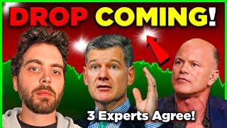 Stock Market WILL DROP - 3 Experts Agree - Crypto EXPLODES!