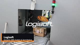 Logisoft Intralogistics Automation Conveyor System with DWS module with Sorter