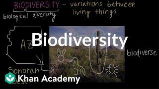 Biodiversity | Biodiversity and human impacts | High school biology | Khan Academy