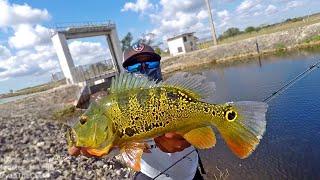 Chasing a World Record Peacock Bass | Monster Mike