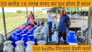 20करोड़16 लाख रुपए का दूध होता है 1 साल का girdar dairy farm Surat Gujarat 350 buffelo #priyanka