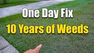 How to Fix an Ugly Lawn - Killing Lawn Weeds