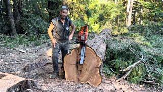 Big Logs ..Small Chainsaws, Ways to cut