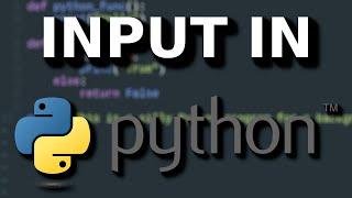 Python - Input, Comparison Operators, and Conditional Statements