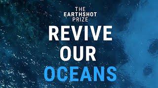 How can we Revive Our Oceans?  | The Earthshot Prize 2022 Finalists