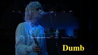 Nirvana - 19 Dumb Live at Reading Festival (Sin Guitarra)