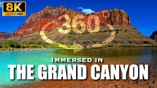 IMMERSED IN THE GRAND CANYON - full length 8K VR360 documentary #vr360