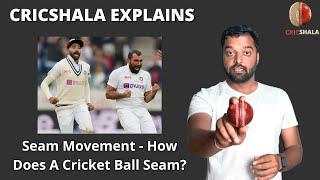 How Does A Cricket Ball Seam? || CricShala Explains || Difference Between Swing And Seam