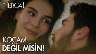 Miran ve Reyyan'ın romanatik gecesi! - Hercai Efsane Sahneler