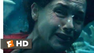 Old (2021) - Swimming Through the Coral Scene (9/10) | Movieclips