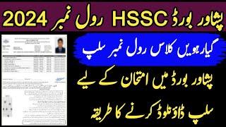 Intermediate HSSC Roll No Slips  PESHAWAR BOARD 2024