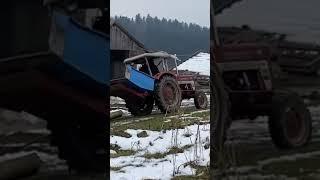 IHC 423 am Baumziehen | NB Agrarvideos | einwandfrei |