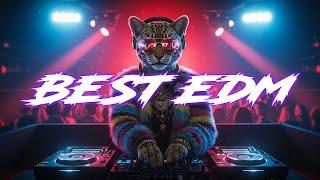 BASS BOOSTED New EDM Dance Charts Songs  BEST EDM, HOUSE, SLAP HOUSE #15