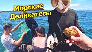 Рыбалка и отдых на море. В погоне за морскими деликатесами. Ловим ракушку креветку и крабиков.