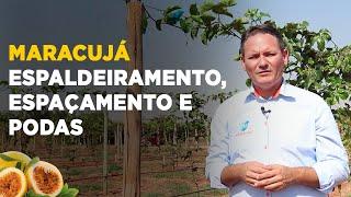 PRODUÇÃO DE MARACUJÁ: ESPALDEIRAMENTO, ESPAÇAMENTO E PODAS