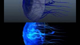 jellyfish 3D animation