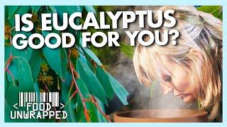 Just How Good For You IS Eucalyptus? | Food Unwrapped