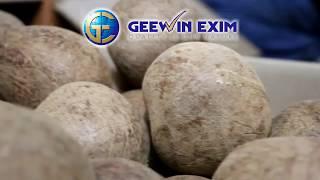 Dry Coconut Copra Exporters  - Geewin Exim