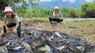 Use the pump to suck water out of the deep pool, catch many big fish and eels.