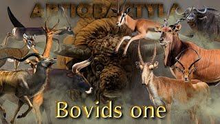 Bovids one