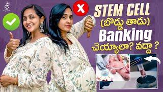 NewBorn Stem Cell Banking ||చెయ్యాల .? వద్ద.?|| cord blood stem cell preservation || Cord Life ||