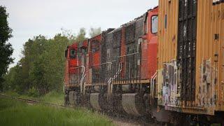 CN 2600 Kickin' up the Poplar Fuzz on the Coronado Subdivision!