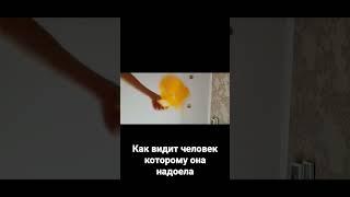 бабочка стандофф 2