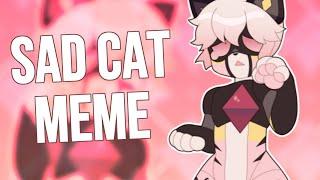 SAD CAT DANCE || MEME