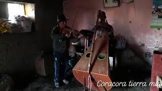 Arpa y violín, coracora