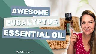 Awesome Eucalyptus Essential Oil - How to Use Eucalyptus Oil & Benefits of Eucalyptus Oil