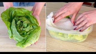 5 tips to preserve your food correctly: perfect hacks to keep it fresh longer!