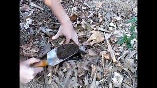 Planting Through Newspaper Sheet Mulch