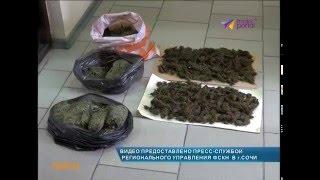 В Сочи под суд отправится целый семейный подряд