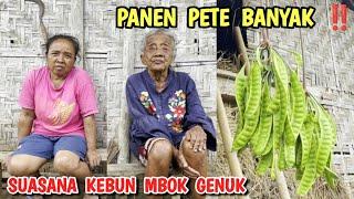 Mbok Genuk panen PETE bersama Bek Sup