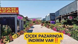 10 ÇİÇEKÇİ BURADA‼️ÇİÇEK PAZARINDA İNDİRİM VAR ‼️GÖZÜMÜZ GÖNLÜMÜZ ŞENLENSİN 